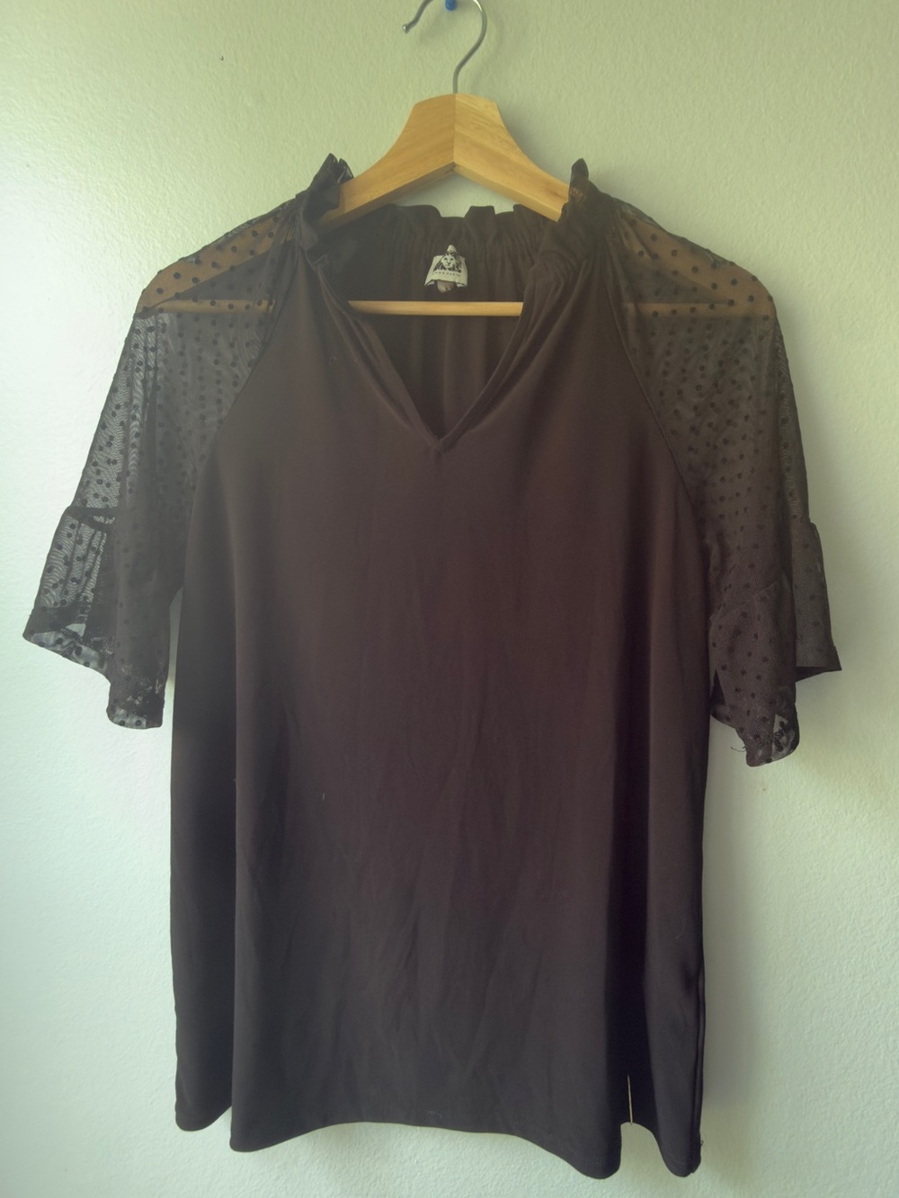 Anne Klein Black V-Neck Top with Sheer Dotted Sleeves